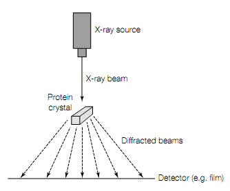 1882_Protein structure determination 1.png